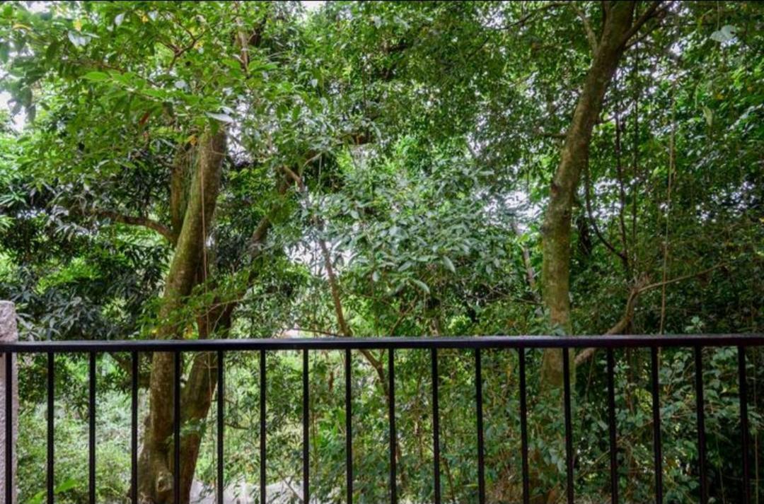 Santa Teresa Junto A Natureza Rio de Janeiro Exterior foto